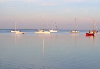 Yachts in port