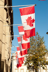 Canadian National Flags, Canada House, London.