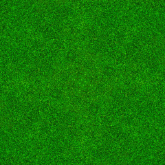Zielona trawa tło