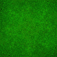Świeża zielona trawa