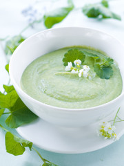 soup