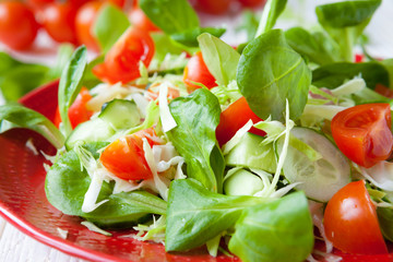 fresh spring salad with cabbage