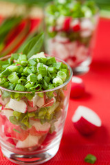 fresh green onions and radishes, salad in a glass