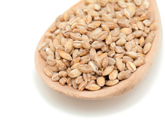 pearl barley in wooden spoon