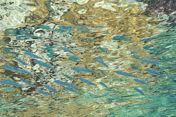 Abstract ocean background