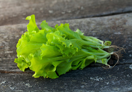 fresh lettuce on wooden table