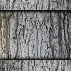 tree, bark background wall grunge fabric abstract stone texture