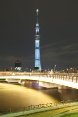 Naklejka premium View of Tokyo Sky Tree