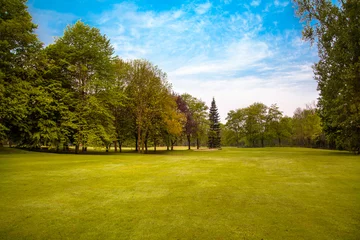 Rolgordijnen Green field and trees. © EwaStudio