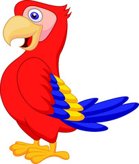 Cute parrot bird cartoon