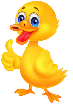 Duck cartoon thumb up