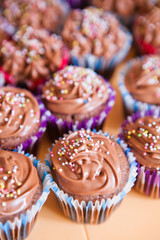 Chocolate cupcakes