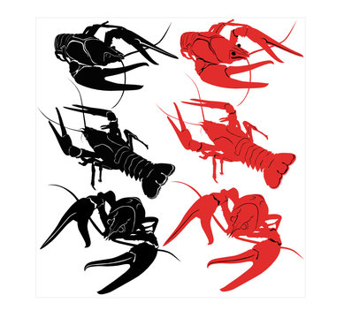crayfish animals vector isolated