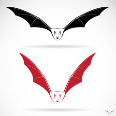 Vector image of an bat on white background