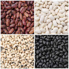 collage of four kinds of beans