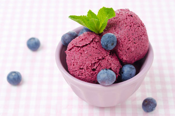 refreshing blueberry sorbet horizontal