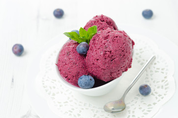 refreshing blueberry sorbet in a white bowl, horizontal