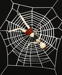 3d render of cartoon character in spiderweb