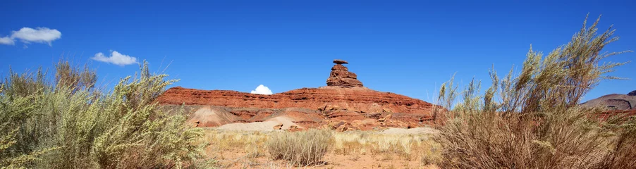 Cercles muraux Parc naturel Panoramic view of famous Mexican Hat