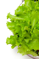 fresh lettuce in colander