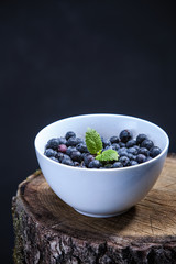 blueberries in a bowl on a tree stamp