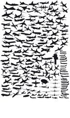 Pictos Aviation transports