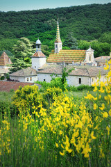 Monastery of Valbonne  in Gard Provencal, France