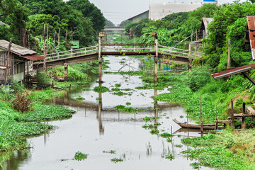 Old wooden bridge and canal at countryside in Thailand