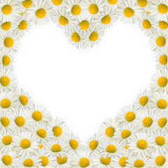 Heart frame of daisies