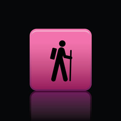 icon web