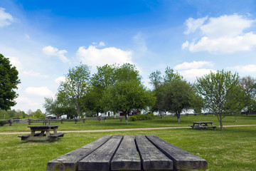 Picnic Table