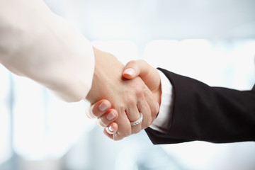 Business woman shaking hands