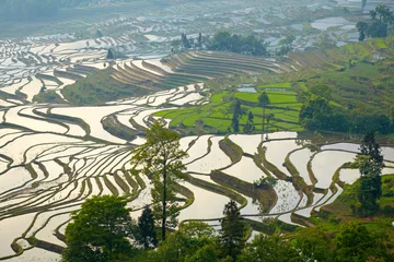 Gordijnen Rice terraces. Yunnan, China. © SJ Travel Footage