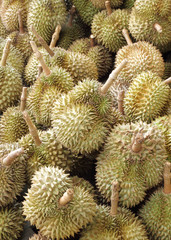 durian, king of fruit