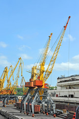 Fototapeta na wymiar Cargo crane and freight traine in port