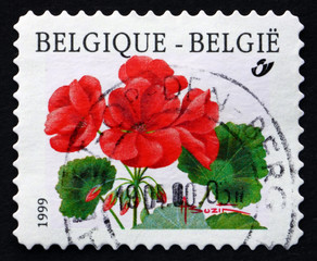 Postage stamp Belgium 1999 Cranesbills, Geranium, Flowering Plan