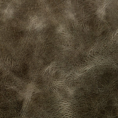 Obraz premium Green leather
