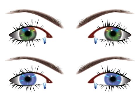 Human_Eyes