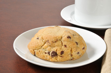 Gourmet chocolate chip cookie