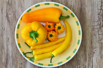 Plate full of peppers and chili peppers