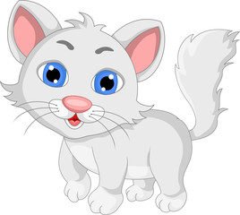 cute white cat cartoon expression