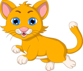 cute cat cartoon expression