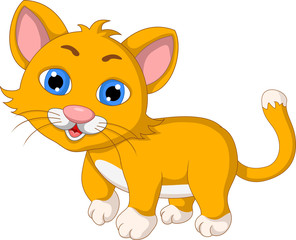 cute cat cartoon expression