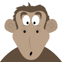 Surprised cartoon monkey
