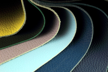 Color palette sample picker of leather material