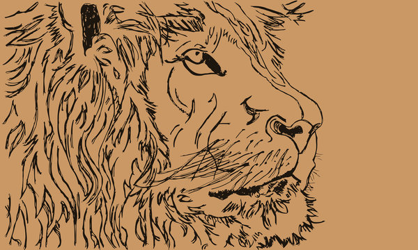 leone