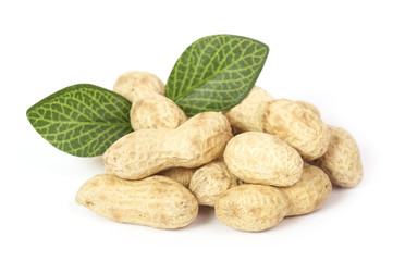 Tasty peanuts isolated on white