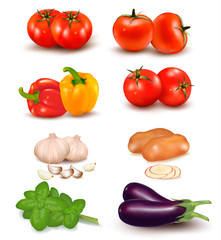 The big colorful group of vegetables. Vector.
