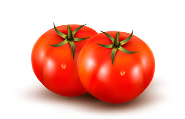 Tomatoes isolated on on white background. Photo-realistic vector