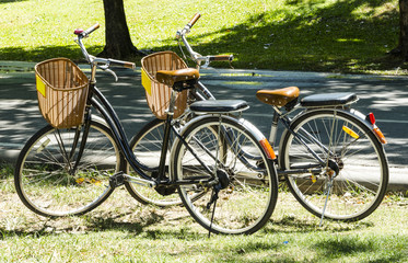 Fototapeta na wymiar Vintage Bicycle